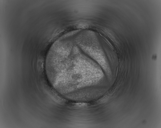 X0000090930363200708271049