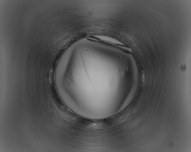 X0000090930364200708271049