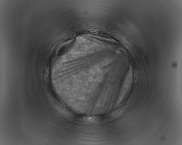 X0000090930365200708271049