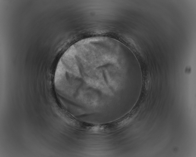 X0000090930366200708271049