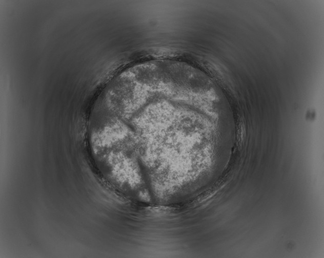 X0000090930367200708271049