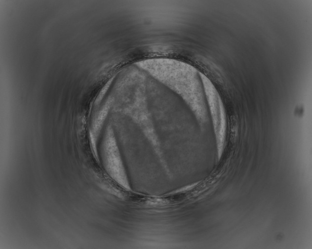 X0000090930369200708271049