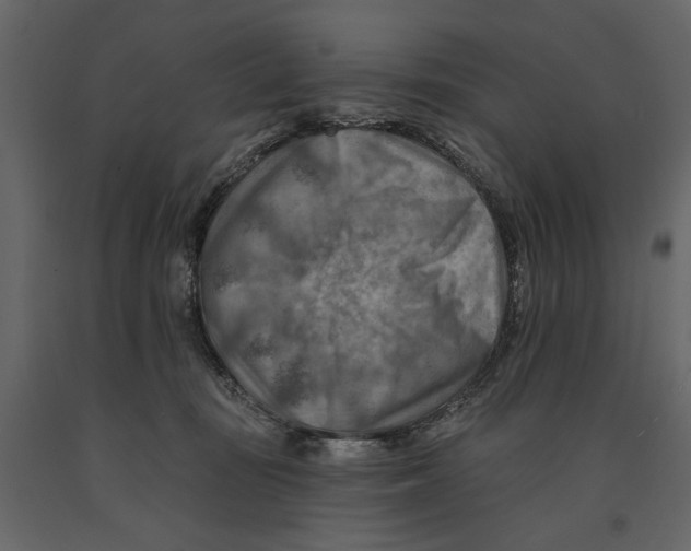 X0000090930371200708271049