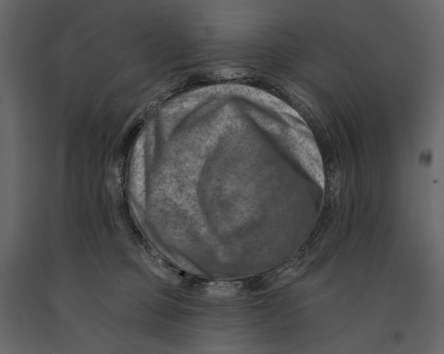 X0000090930373200708271049