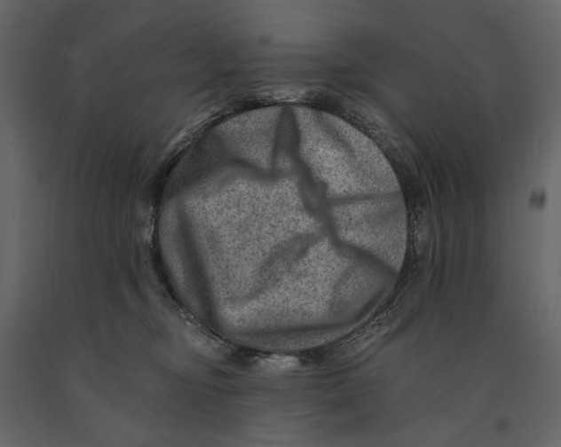 X0000090930374200708271049