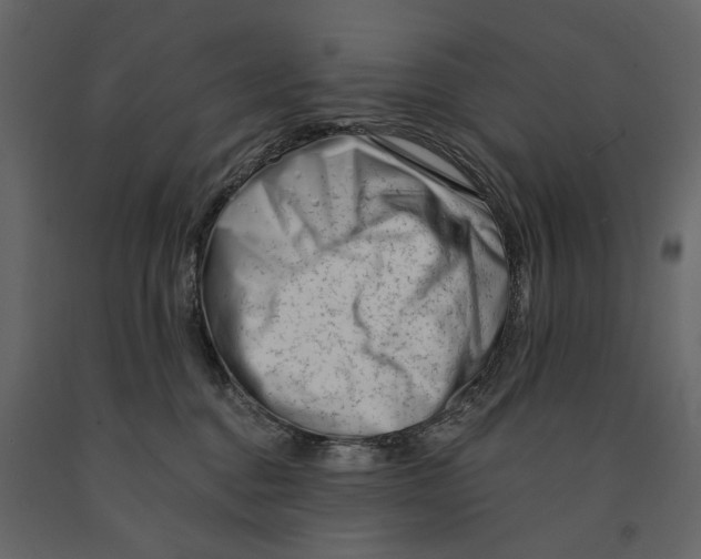 X0000090930376200708271049