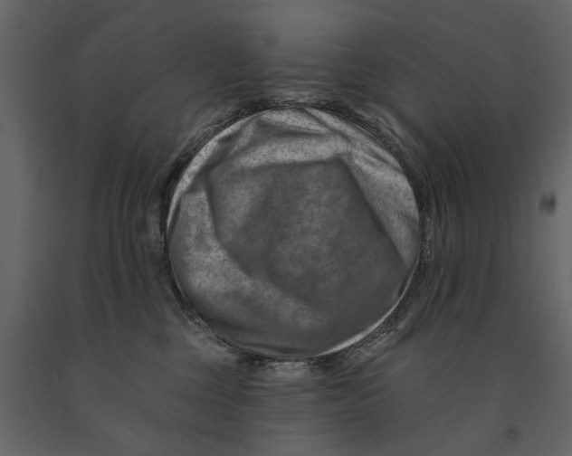 X0000090930377200708271049