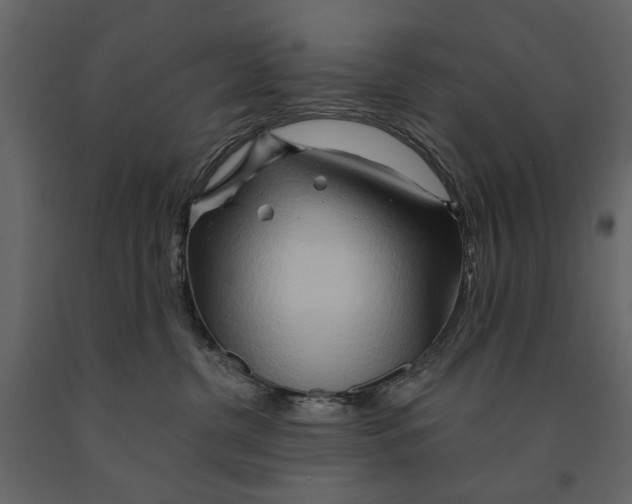 X0000090930380200708271049