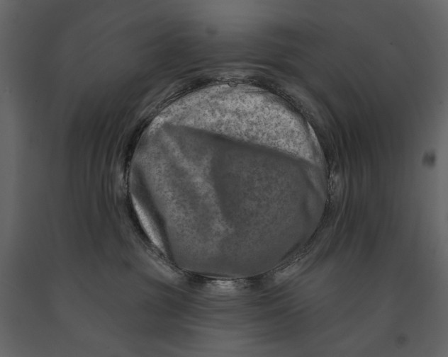 X0000090930381200708271049