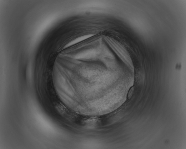 X0000090930383200708271049