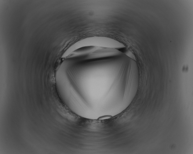 X0000090930384200708271049