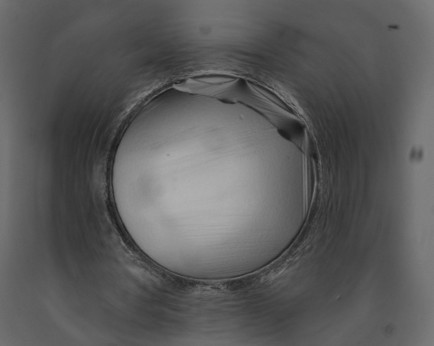 X0000090930386200708271049