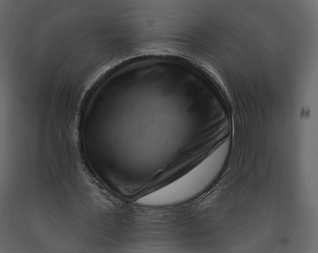 X0000090930387200708271049