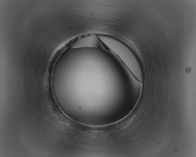 X0000090930388200708271049