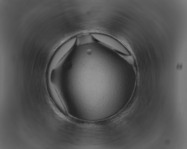 X0000090930389200708271049