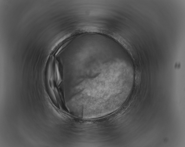 X0000090930390200708271049