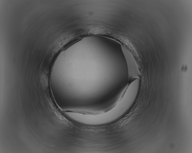 X0000090930393200708271048