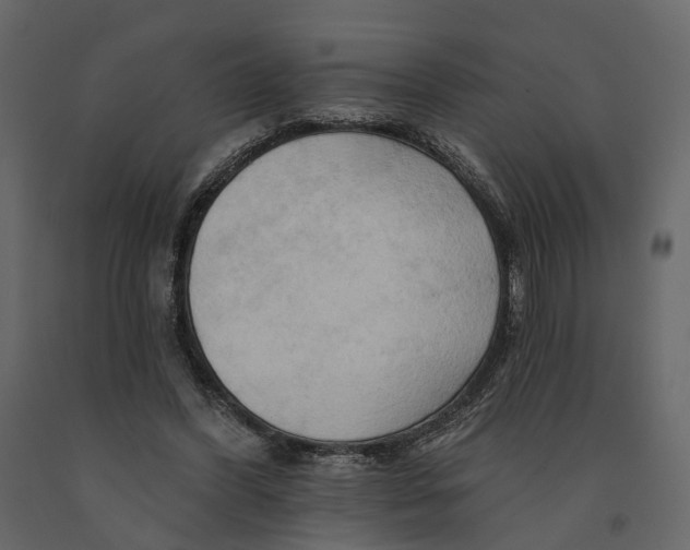 X0000090930396200708271048