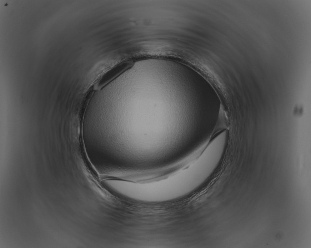 X0000090930397200708271048