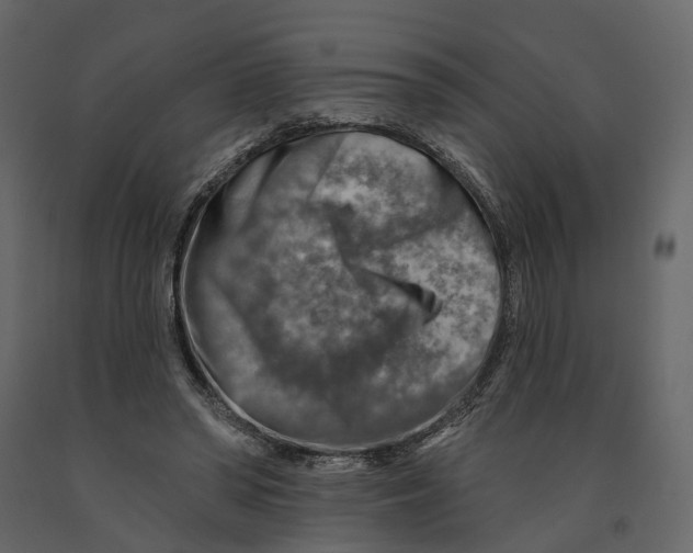 X0000090930398200708271048