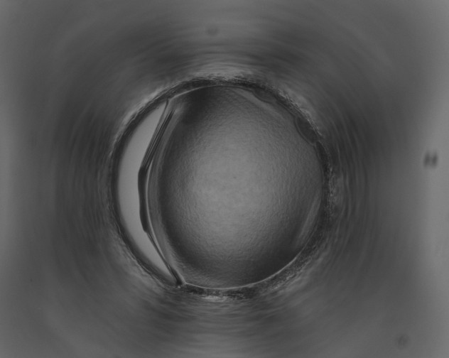 X0000090930399200708271048