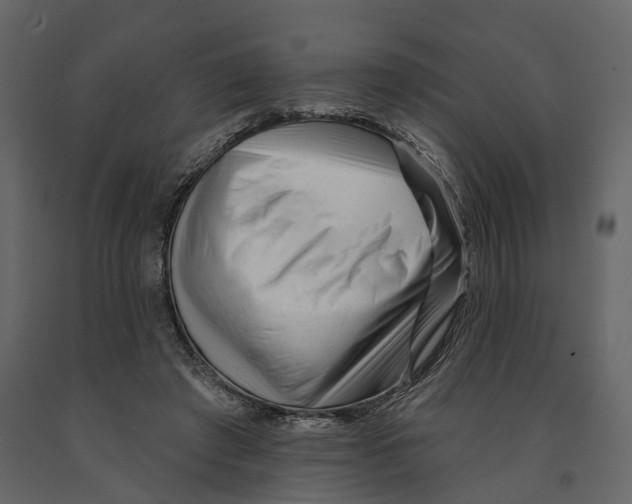 X0000090930401200708271048