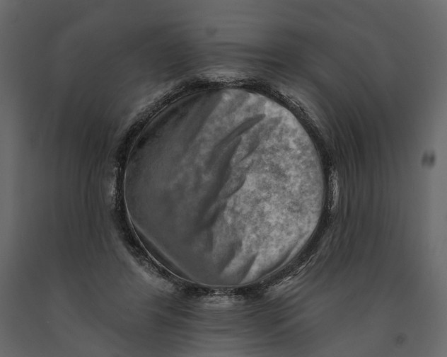 X0000090930404200708271048