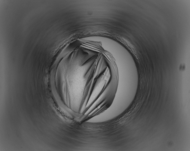 X0000090930405200708271048