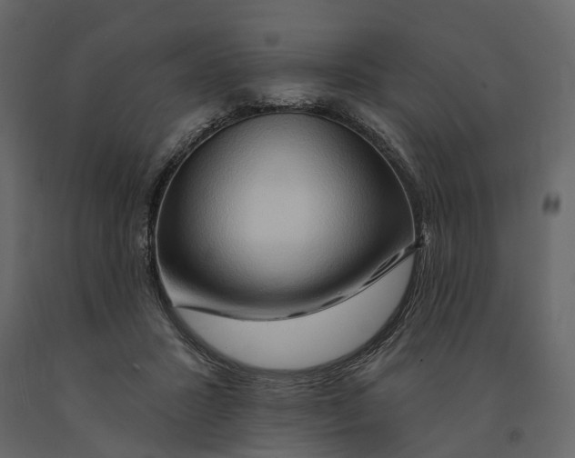 X0000090930407200708271048