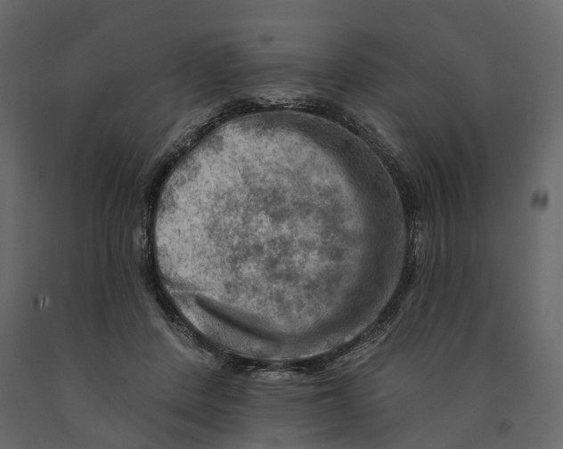 X0000090930408200708271048