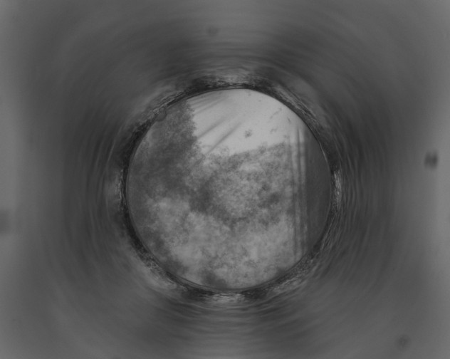 X0000090930410200708271048