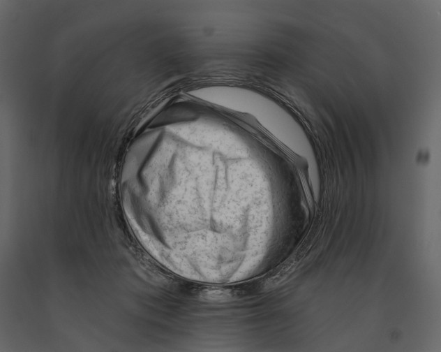 X0000090930413200708271048