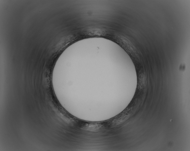 X0000090930414200708271048