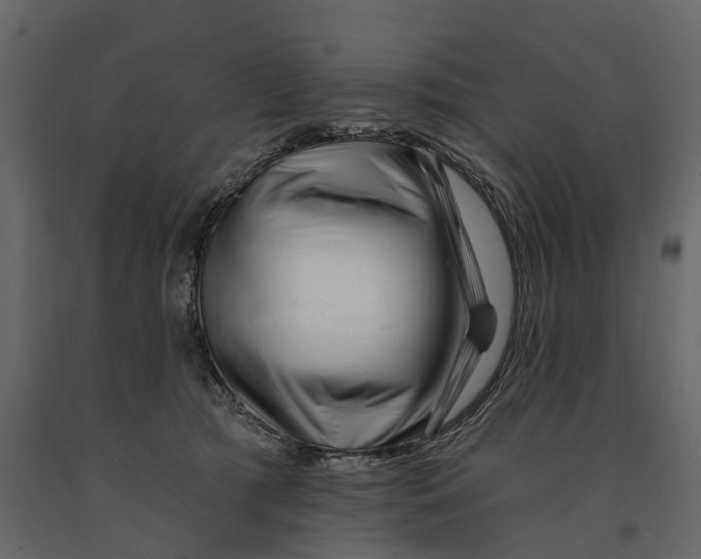 X0000090930417200708271048