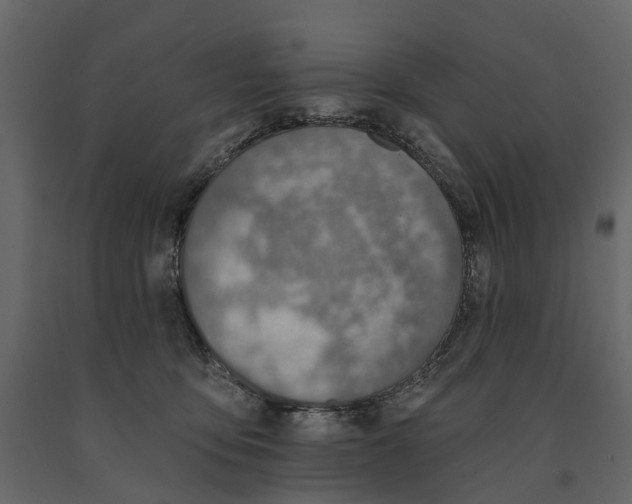 X0000090930419200708271048