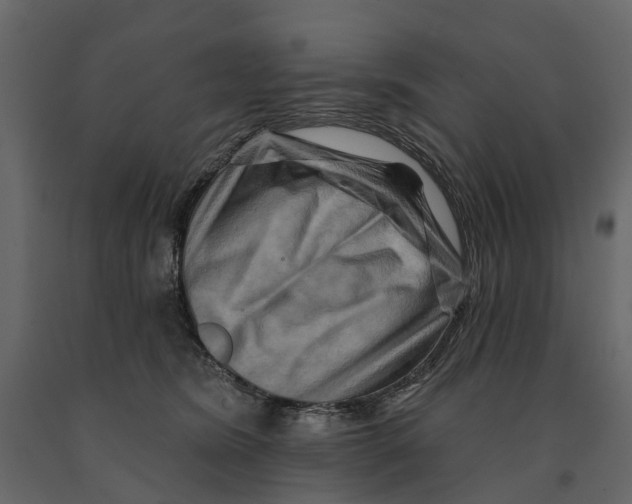 X0000090930420200708271048