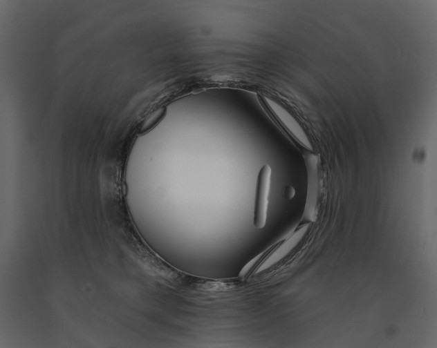 X0000090930421200708271048