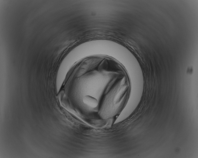 X0000090930423200708271048