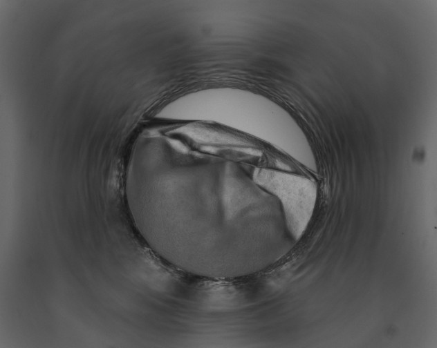 X0000090930424200708271048