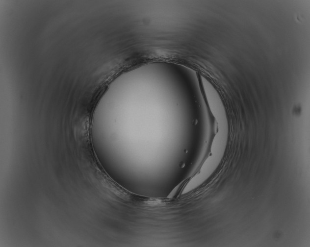 X0000090930425200708271048