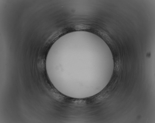 X0000090930426200708271048