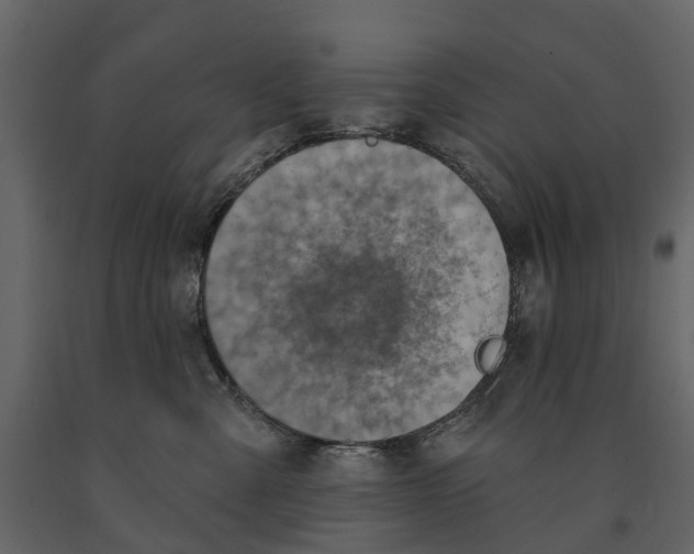 X0000090930427200708271048