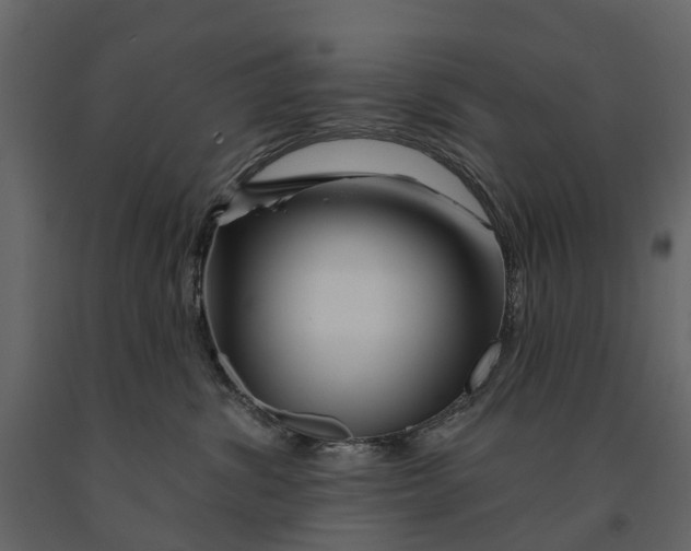 X0000090930428200708271048