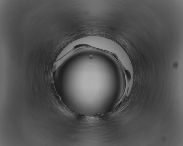 X0000090930429200708271048