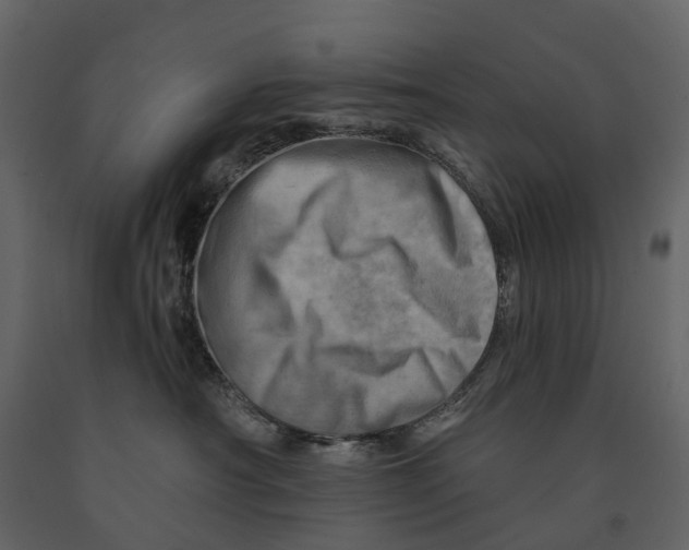 X0000090930430200708271048