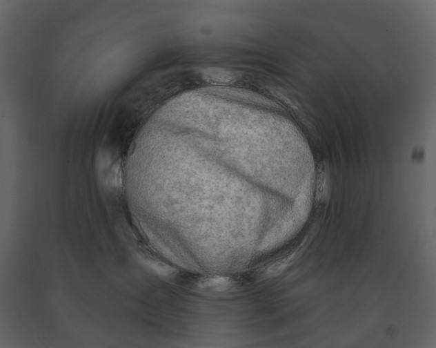 X0000090930431200708271048