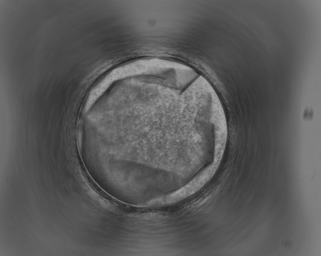 X0000090930433200708271047