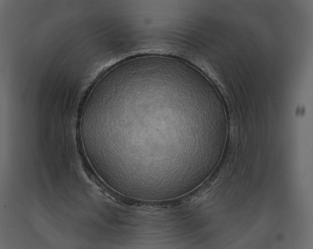 X0000090930434200708271047