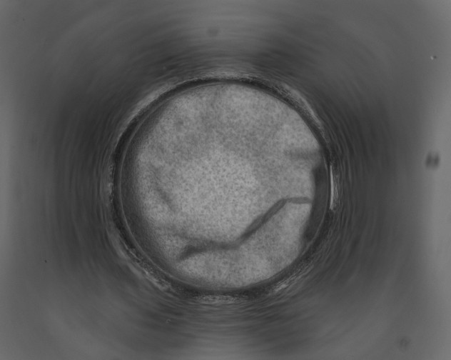 X0000090930435200708271047