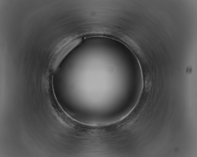 X0000090930436200708271047